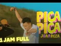 Download Lagu PICA PICA - Juan Reza (goyang pica pica) 1 JAM FULL TANPA IKLAN