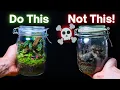 Lagu 10 ESSENTIAL Terrarium Tips For Beginners!
