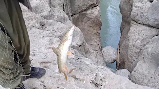 ماهیگیری در رودخانه ماهی چهار سبیل 