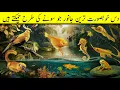 Lagu Animals that look like gold | Ayse Janwar Jo Soney Ki Tarha Nazar Atey Han
