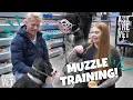 How to muzzle train your dog Feat The Muzzle Movement Ask the Vet with Dr Scott Miller