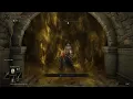 Why Stormhawk Deenh Is The Best Spirit Elden Ring