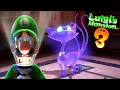 Floors 8 7 POLTERKITTY Ghost Cat First Encounter LUIGI S MANSION 3 Guide