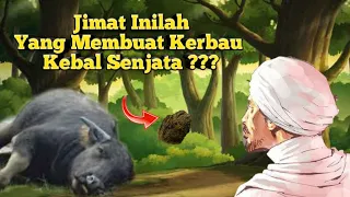 Download Karomah Syeh Jangkung Saridin Menghidupkan Kerbau Dan Kesaktian Jimat Lulang Kebo Landoh !!! MP3