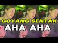Download Lagu GOYANG SENTAK - AHA AHA AHA 🌴 IGHO RMXR 2025