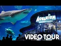Downtown Denver Aquarium Tour