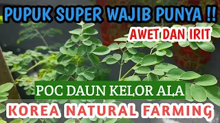 Download PUPUK SUPER !! MEMBUAT POC DAUN KELOR DENGAN TEKNIK KNF (KOREA NATURAL FARMING) II FPJ KNF MP3