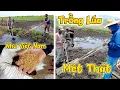 Lagu Khó Và Mệt Quá! Không Ngờ Người Việt Nam TRỒNG LÚA LẠI VẤT VẢ NHƯ VẬY! Châu Phi Cũng Có Thể!