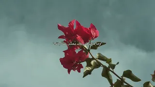 أراك جميلا  كفصل الربيع أنشودة عبدالله الرحبي      دندنها