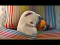 🧸 Teddy Bear, Teddy Bear, Say Goodnight | Badanamu Nursery Rhymes, ABC & Kids Songs, and Lullabies