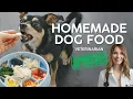 VET APPROVED Homemade Dog Food Recipe Affordable Healthy