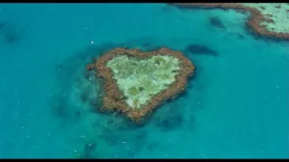 HOME (Bande-annonce)