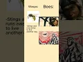 Download Lagu Bees kamikaze FR #warthunder #memes