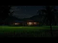 Download Lagu Malam Sawah yang Damai di Desa dengan Jangkrik | Suasana ASMR untuk Tidur Nyenyak dan Fokus Belajar 😴