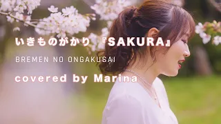 Download いきものがかり 『SAKURA』　covered by Marina【BREMENの音楽祭】 MP3