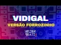 Download Lagu VIDIGAL - VERSÃO FORROZINHO 2025 @helderbeatzz_ , Kaiqpr