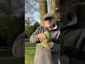 Download Lagu Love this green boy ❤️ #parrot #funnyanimals #birds #funnybirds #funny #pets #sid #sidfunny #fun