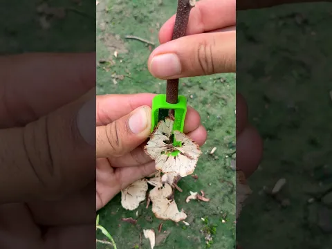 1. āĻĒā§āύā§āϏāĻŋāϞ āĻļāĻžāϰā§āĻĒāύāĻžāϰ āĻĻāĻŋā§ā§ āĻāĻžāĻ āĻā§āĻā§ āĻāĻā§āύ āĻā§āĻŦāĻžāϞāĻžāύā§! đą | #Amazing #Survival Ha