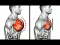 Download Lagu 11 Sculpt Your Chest Exercises With Dumbbell You Need to Try! 🔥