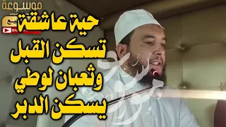 رقية الحية العاشقة سكنت القبل معها الثعبان اللوطي سكن الدبر الراقي المغربي نعيم ربيع 