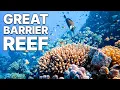 Great Barrier Reef Documentary