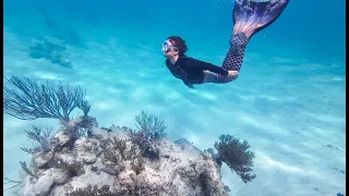 S3E25 Learning to wing foil and be a mermaid