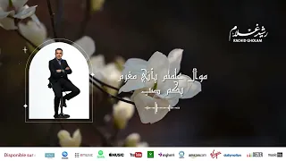                 الفنان رشيد غلام   إبداع وروعة   موال علمتم بأني مغرم بكم صب دندنها