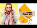 Are Lactose-Free Cheeses REALLY Lactose - Free