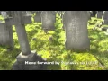 How to locate a grave Geoffrey Callendar Charlton Cemetery