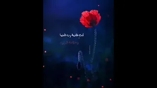 انتي هدية رب الدنيا وخلاصة قدري 