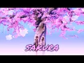 Lagu AMV - Sakura • Ikimono Gakari [Legendado PT-BR]