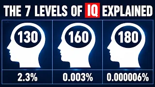 The 7 IQ Levels Explained From 70 to 160