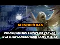Download Lagu JIWA TERPILIH _ ORANG PENTING TERPESONA OLEH MU