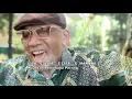 Download Lagu KAPAHAHA