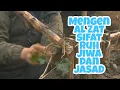 Download Lagu Mengenal Zat Sifat ruh dan jiwa jasad