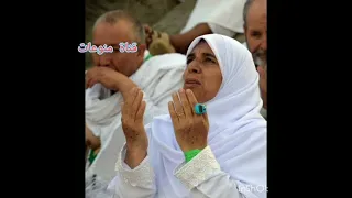 رايحه فين ياحاجه هلا رشدى 