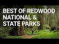 Lagu Top Things You NEED To Do In Redwood National Park, California