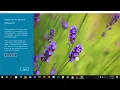 How to add picture password in laptop