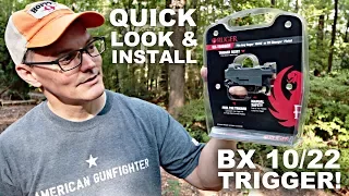 BX22 Trigger Quick Look Installation
