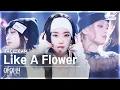 Download Lagu [페이스캠4K] 아이린 'Like A Flower' (IRENE FaceCam) @SBS Inkigayo 241201
