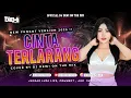 Download Lagu FUNKOT AMBYAR - CINTA TERLARANG (THE VIRGIN) COVER BY DJ DEWI ON THE MIX