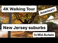 4K Walking tour America New Jersey Suburbs in Mid Autum East Brunswick 4K 60