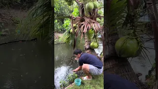 Bữa cơm 0 đồng ở quê |Hy và Ni