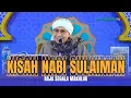 Download Lagu Hikmah Kebijaksanaan dari Kisah Nabi Sulaiman AS. | Buya Yahya
