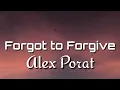 Download Lagu Alex Porat - Forgot To Forgive (Lyrics)