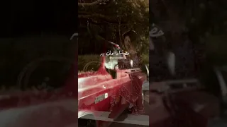 اللي يمشي يمشي عادي داليا مبارك دندنها