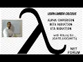 Lambda calculus part 5 operational semantics alpha beta and reductions and conversions