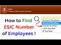 How to Find ESIC Number of Employees