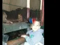 حكيم ( ايه اللى بيحصل دا ) بيبو & ياسين & عبدالله