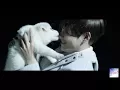 Download Lagu BTS - Wings MUSIC VIDEO [ENG]